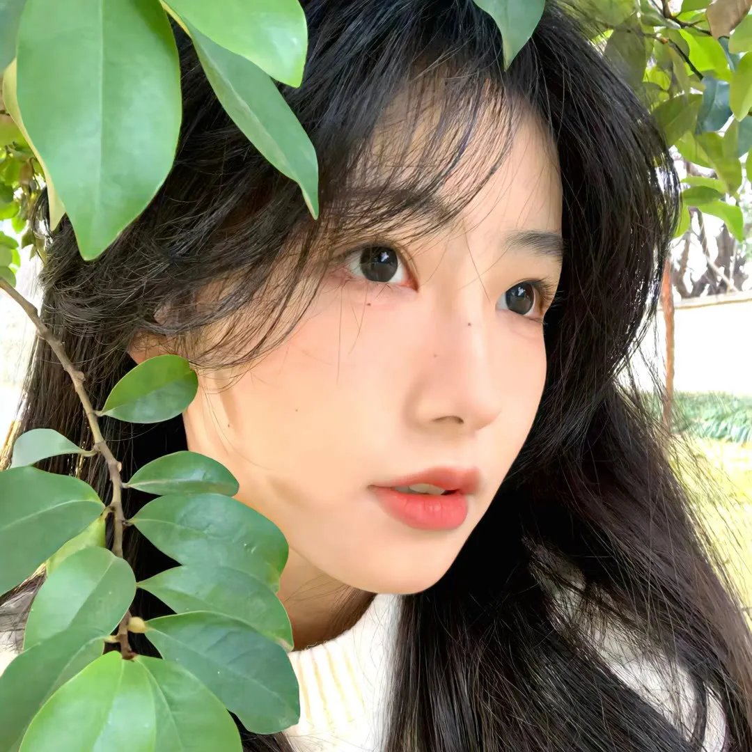 爱是一只猫